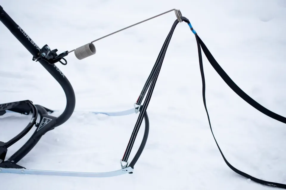 ESLA Kickspark Combi hundadapter drag 1-2 hundar