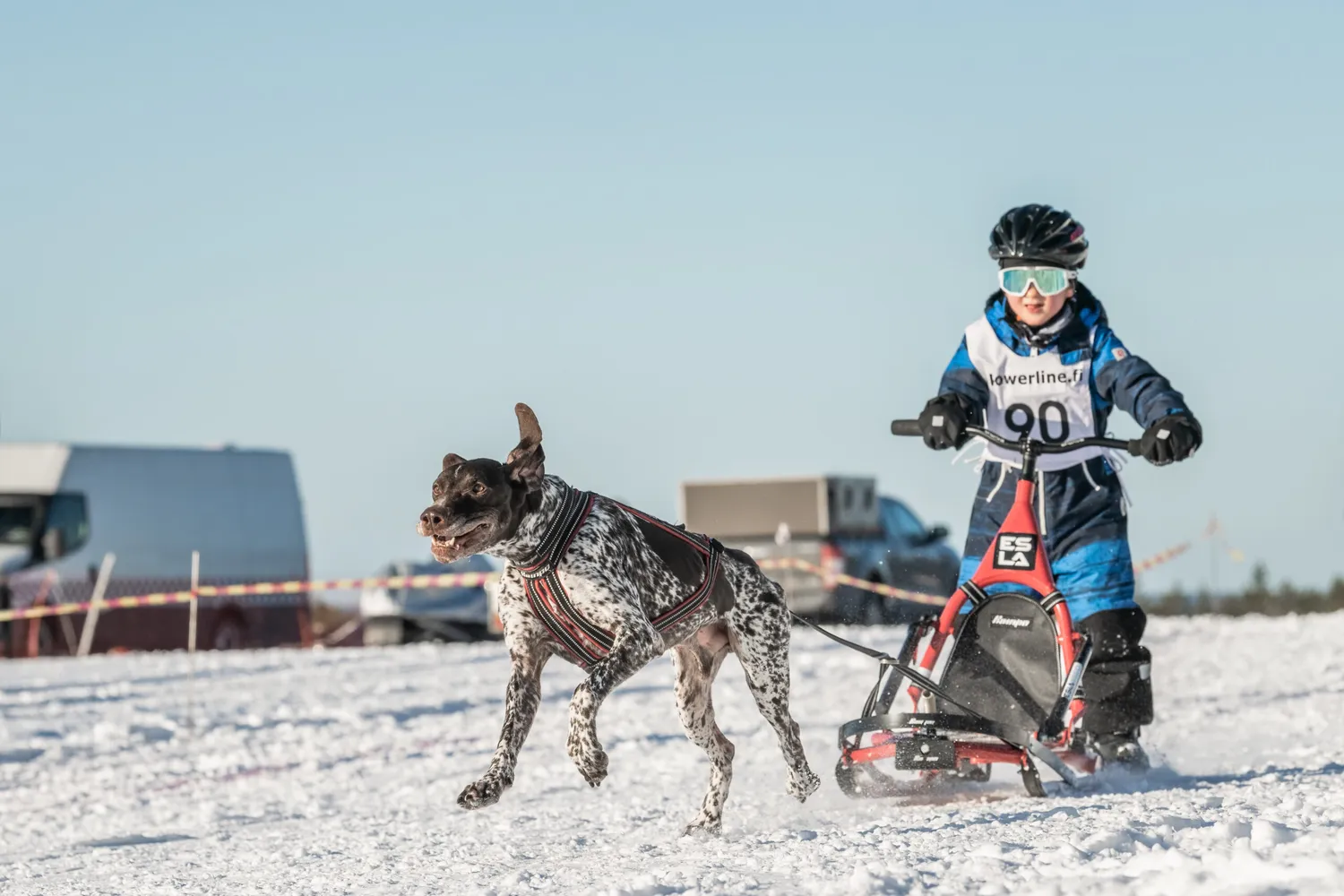 ESLA Adventure sparkstötting hundsläde aluminium