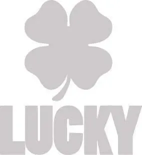 Lucky HIC-slit styre tillval med kapning